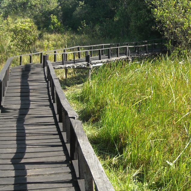 Saiwa Swamp National Park