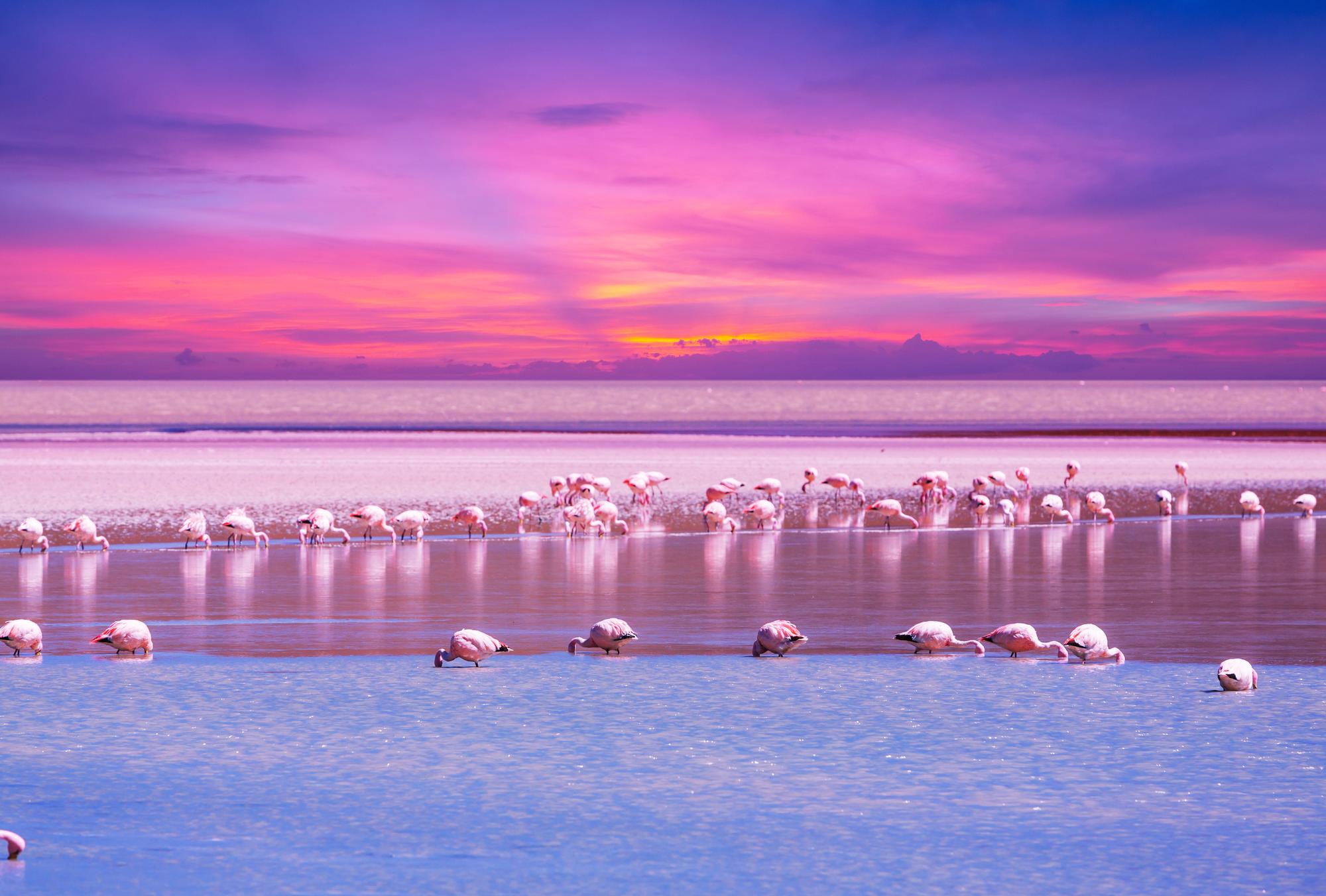 Lake Nakuru National Park