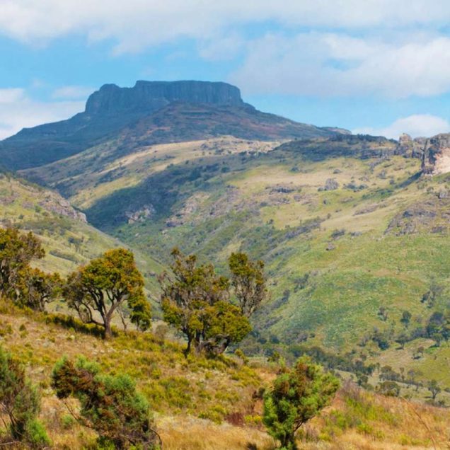 Mount Elgon National Park