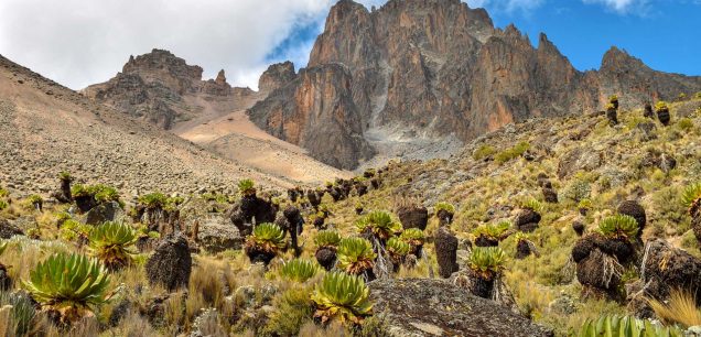 Mount Kenya National Park