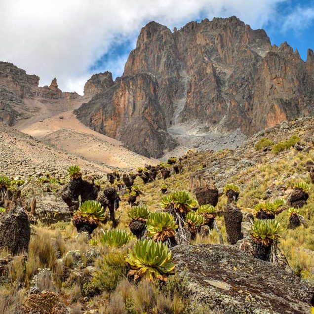 Mount Kenya National Park