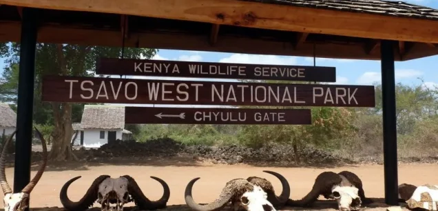 Tsavo West National Park