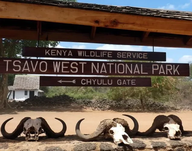 Tsavo West National Park